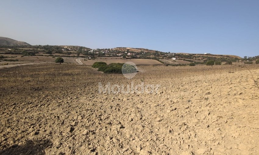 Terrain Agricole de 3 Hectares à Vendre à Asilah - view 7