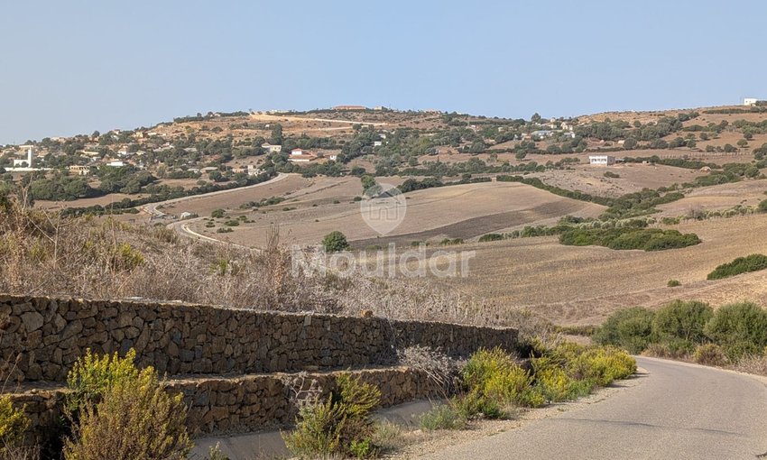 Terrain Agricole de 3 Hectares à Vendre à Asilah - view 5