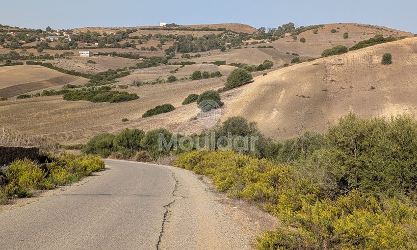 Terrain Agricole de 3 Hectares à Vendre à Asilah - view 6