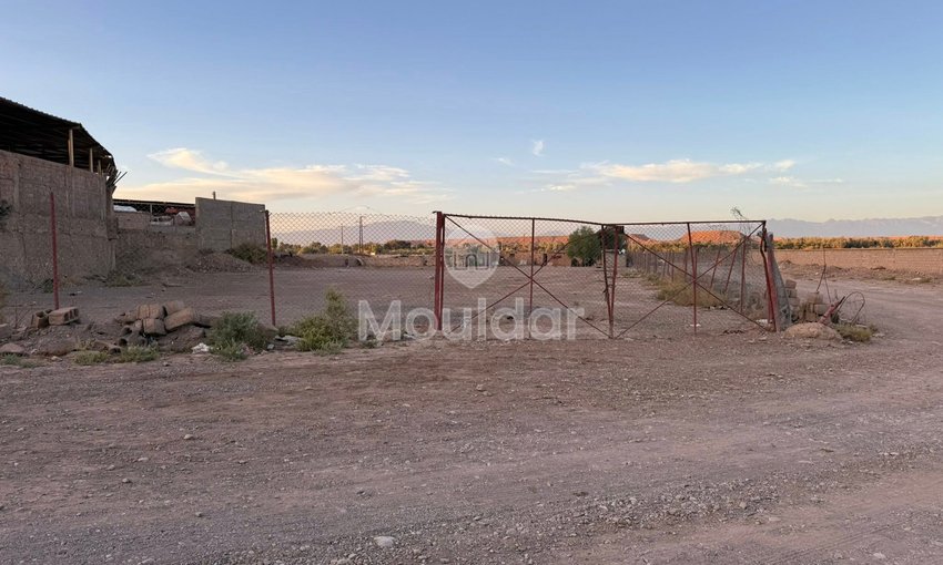 Teren agricol de vânzare în Ouarzazate - 3000 m² - view 8
