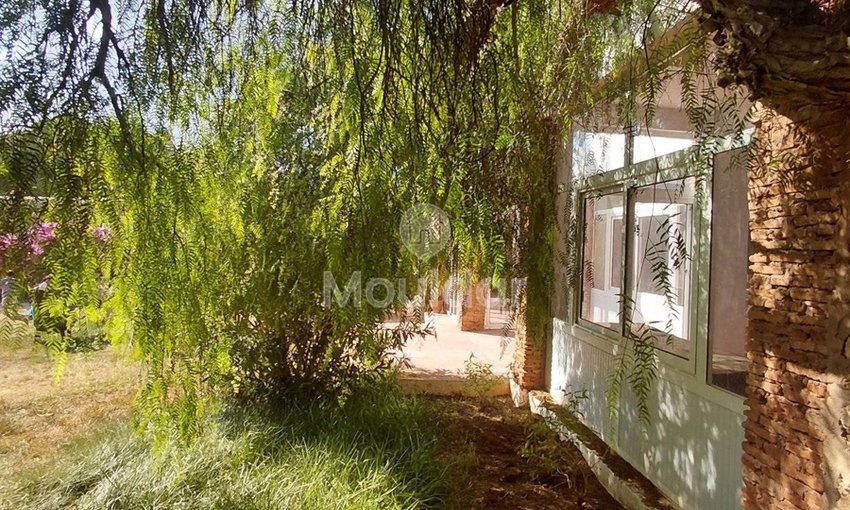 Essaouira'da rüya bir villa: konfor, yüzme havuzu ve bahçe - view 3