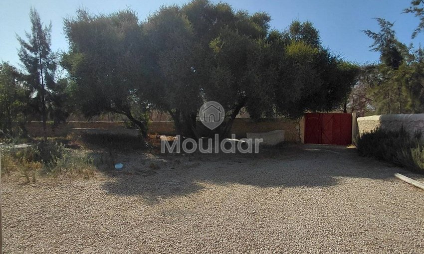 Essaouira'da rüya bir villa: konfor, yüzme havuzu ve bahçe - view 20