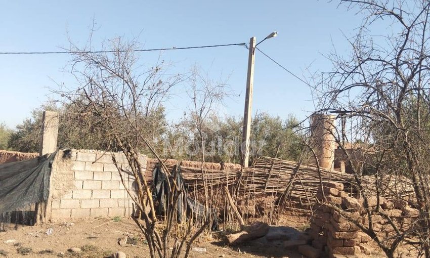 أرض زراعية للبيع في مراكش - 25,000 م² - view 5