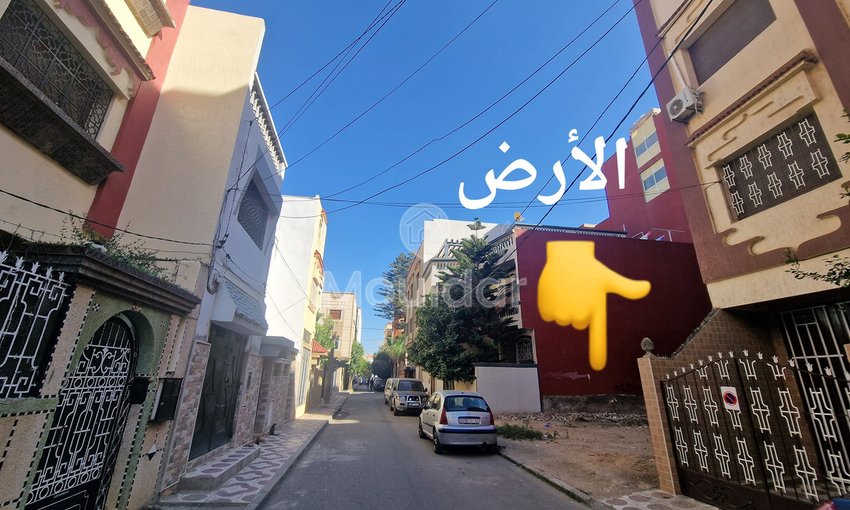 Land for sale in Ksar el-Kebir: Opportunity not to be missed - view 5