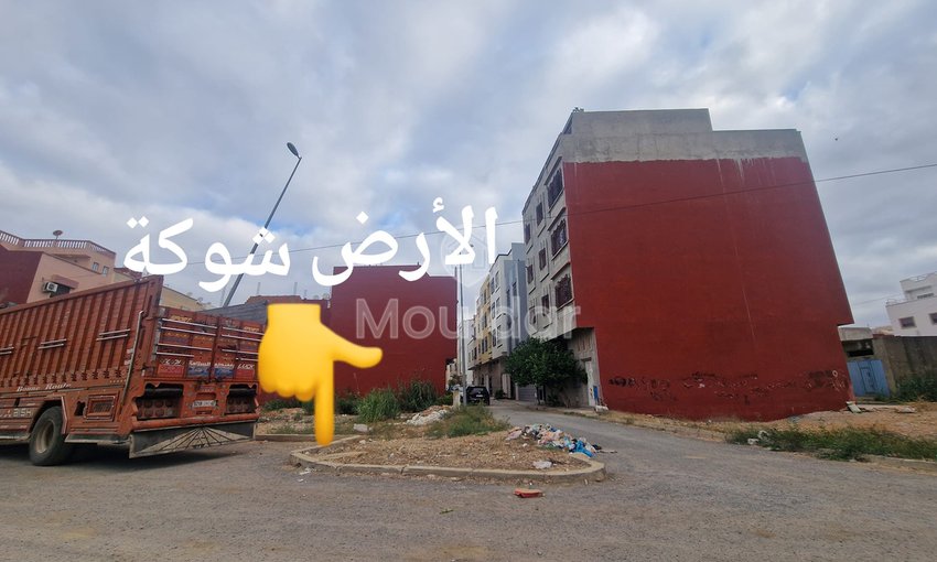 Land for Sale in Ksar el-Kebir: Unique Opportunity - view 6