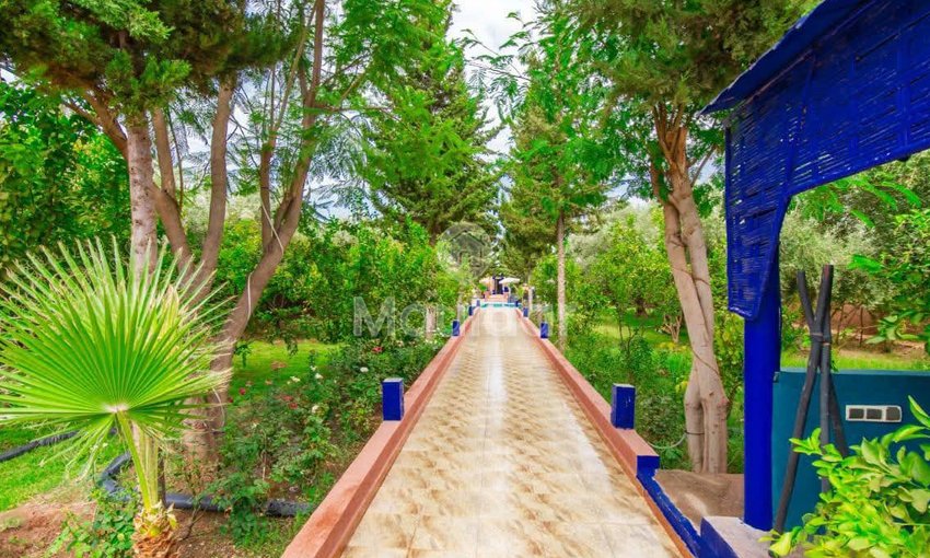 Vila de sonho em Marrakech: conforto e luxo incluídos - view 24