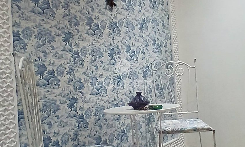 Appartamento in affitto a Marrakech: comfort e serenità - view 3