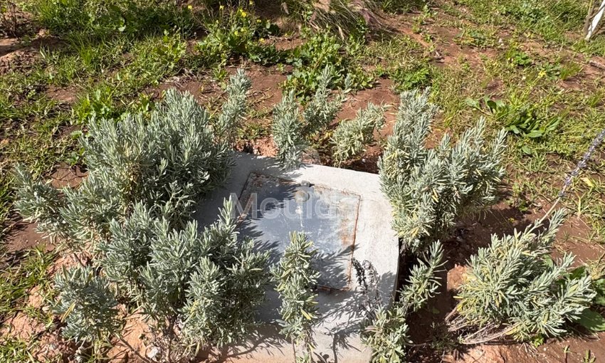 Villa de Rêve à Essaouira : 4 Chambres et Piscine - view 20