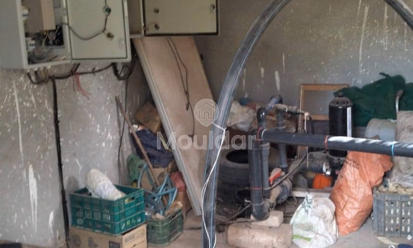 أرض زراعية للبيع في مراكش - 13,000 م² أرض زراعية للبيع في مراكش - 13,000 م²