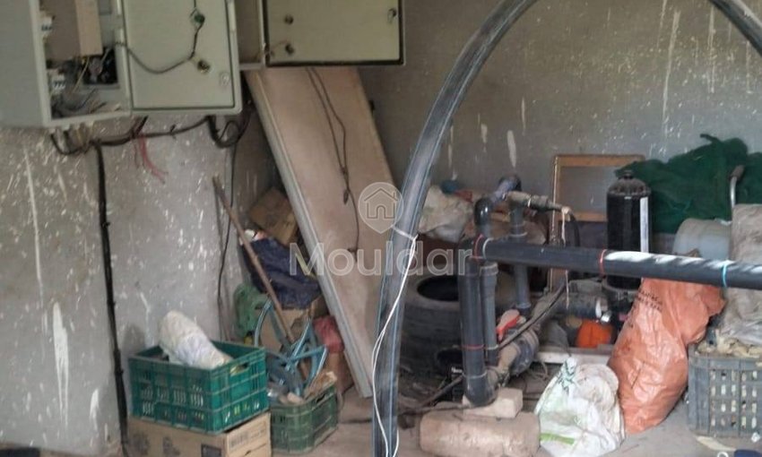 أرض زراعية للبيع في مراكش - 13,000 م² - view 9