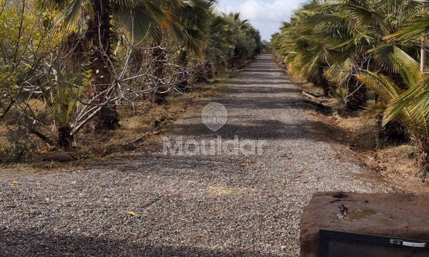 أرض زراعية للبيع في مراكش - 13,000 م² أرض زراعية للبيع في مراكش - 13,000 م²