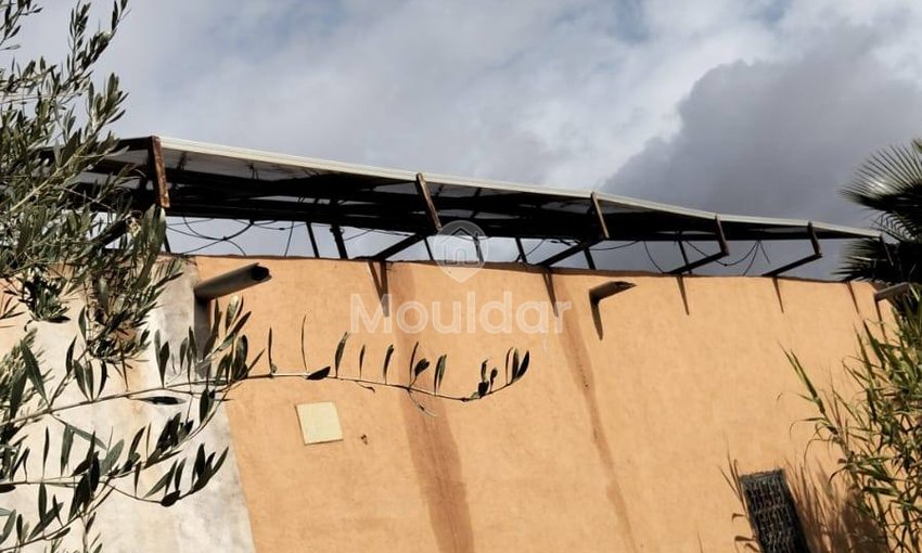 أرض زراعية للبيع في مراكش - 13,000 م² - view 15