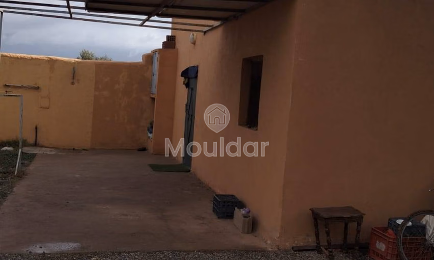 أرض زراعية للبيع في مراكش - 13,000 م² أرض زراعية للبيع في مراكش - 13,000 م²