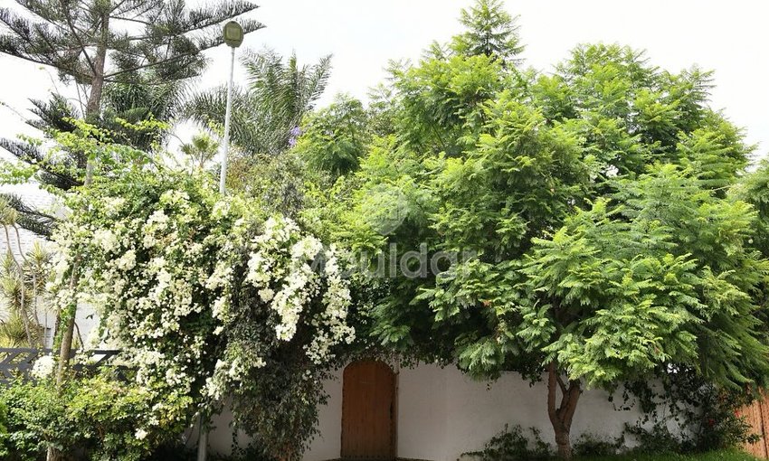 منزل للإيجار في عين دياب: أناقة وراحة! - view 7