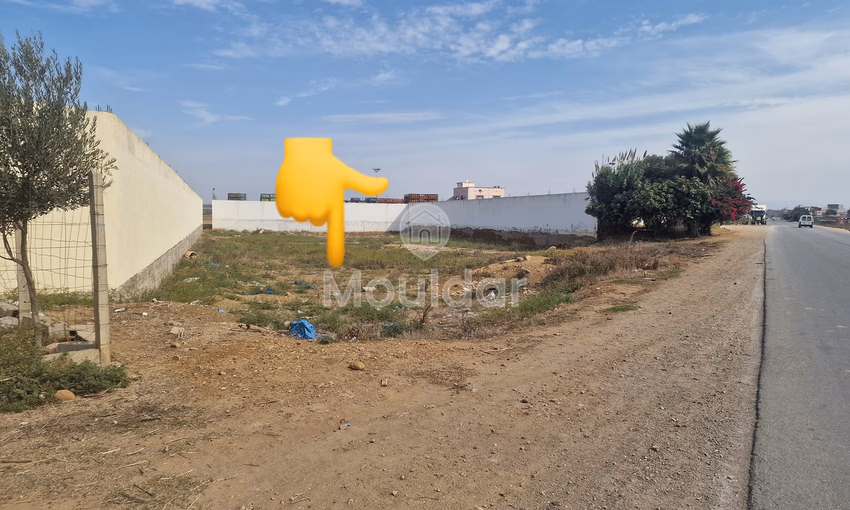 أرض للبيع في القصر الكبير: فرصة فريدة