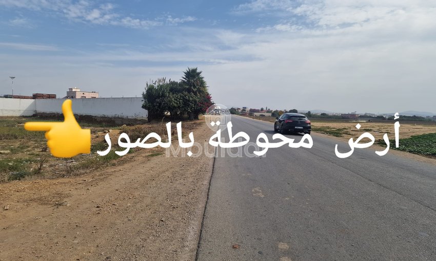 Land for sale in Ksar el-Kebir: exceptional opportunity - view 3