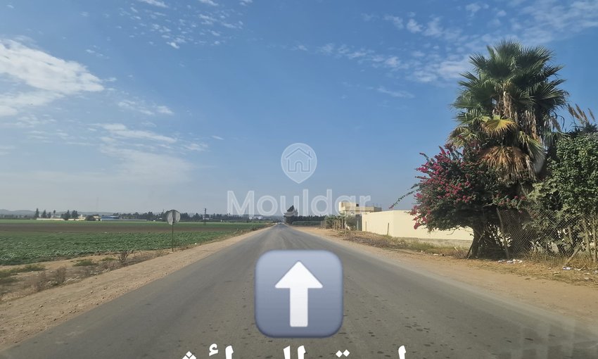 Land for sale in Ksar el-Kebir: exceptional opportunity - view 8