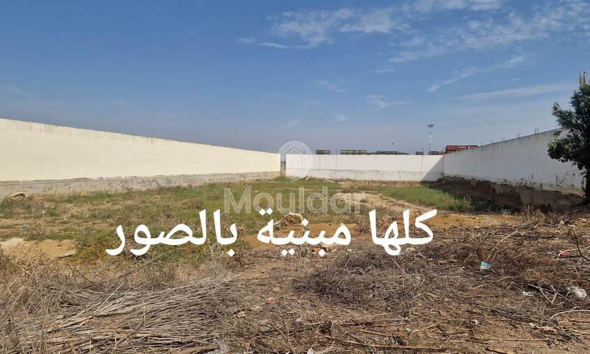 Land for sale in Ksar el-Kebir: exceptional opportunity - view 5