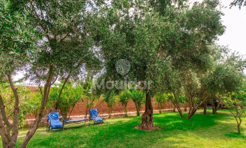 Villa Exceptionnelle à Marrakech : Luxe, Confort et Sérénité