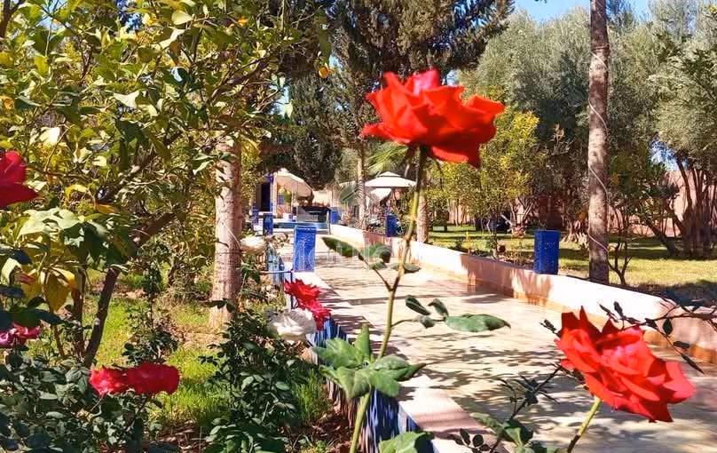 Villa Exceptionnelle à Marrakech : Luxe, Confort et Sérénité