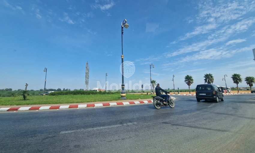 Land for sale in Ksar el-Kebir: exceptional opportunity - view 6