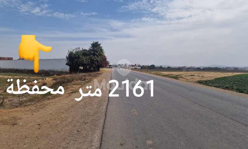 أرض للبيع في القصر الكبير: فرصة استثنائية