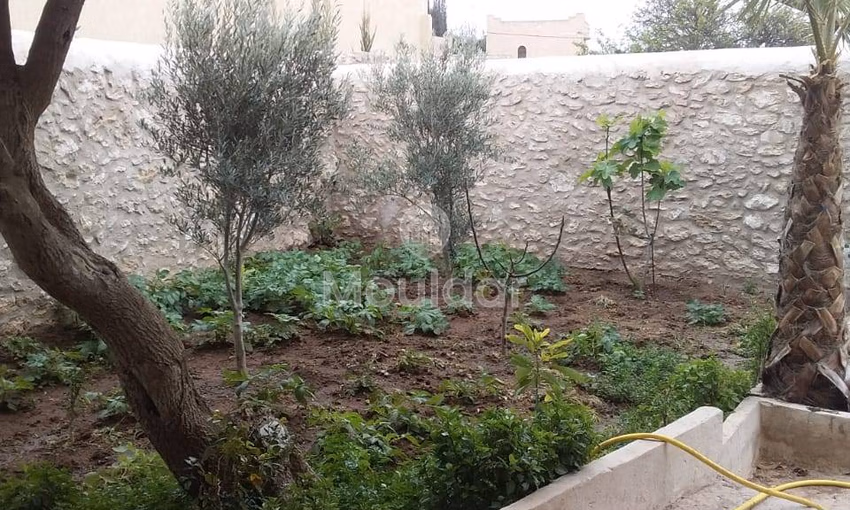 Charming House for Rent in Essaouira with Garden