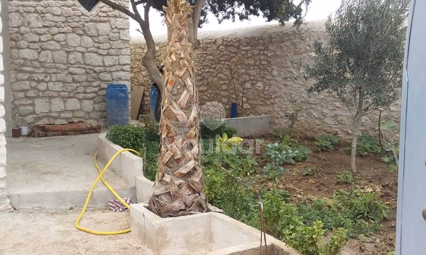 Charming house for rent in Essaouira with garden