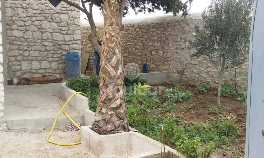 منزل ساحر للإيجار في الصويرة مع حديقة - view 2