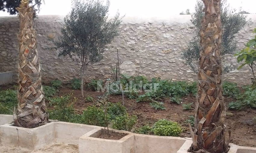 Charming house for rent in Essaouira with garden