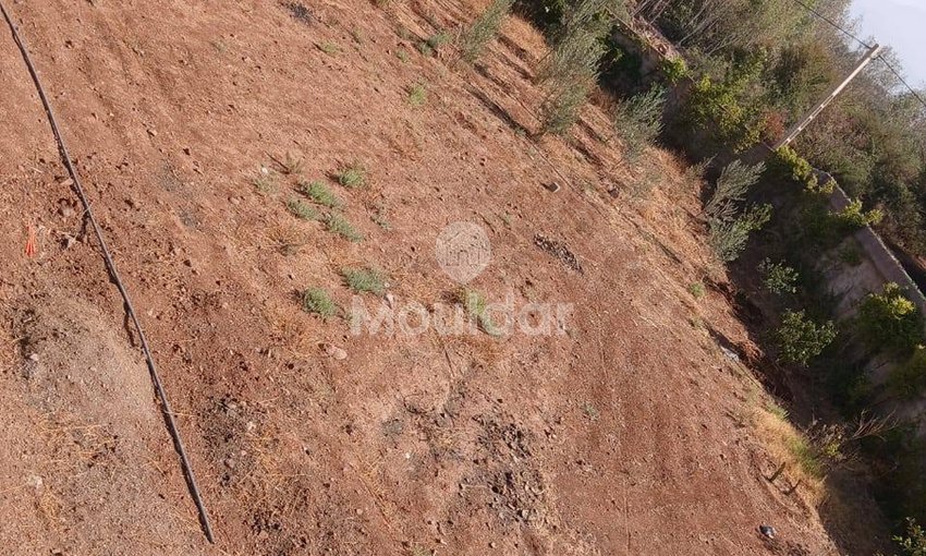 منزل أحلام للبيع في مراكش - 2400م² - view 3