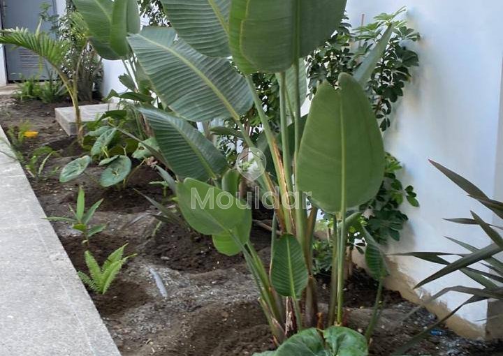 Luxury apartment in Tangier with pool and exceptional terrace - view 15