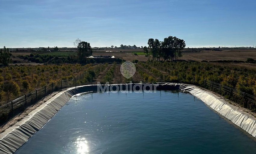 Landwirtschaftsbetrieb zu verkaufen in Bouznika: Einzigartige Gelegenheit - view 23