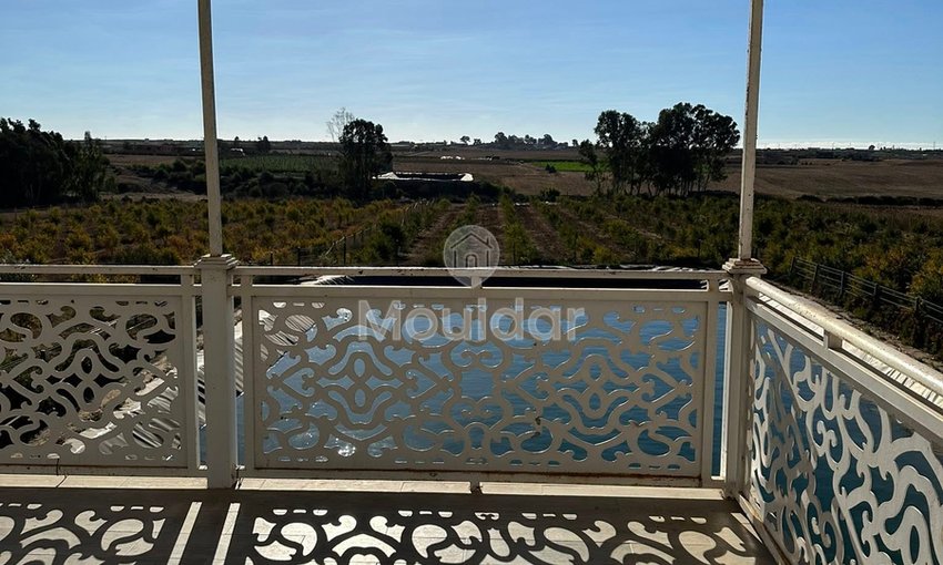 Landwirtschaftsbetrieb zu verkaufen in Bouznika: Einzigartige Gelegenheit - view 19