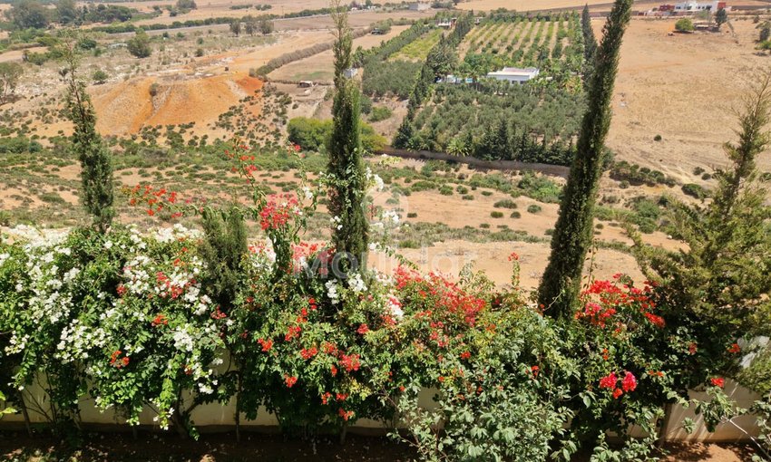 فيلا عصرية في الرباط: 4 غرف نوم، حديقة وشرفة - view 12