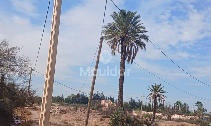 أرض للبيع في مراكش: مثالية لفيلتك الحلم - view 5