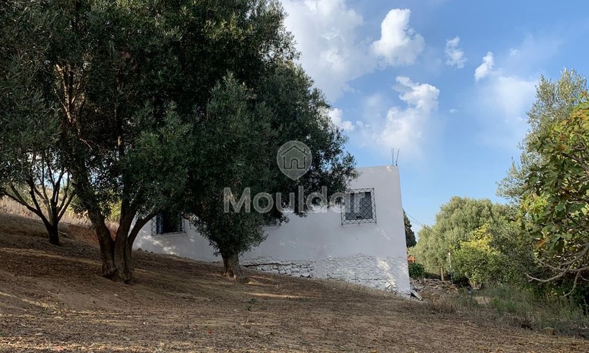 منزل للبيع في تطوان: راحة ومساحة 90م² - view 3