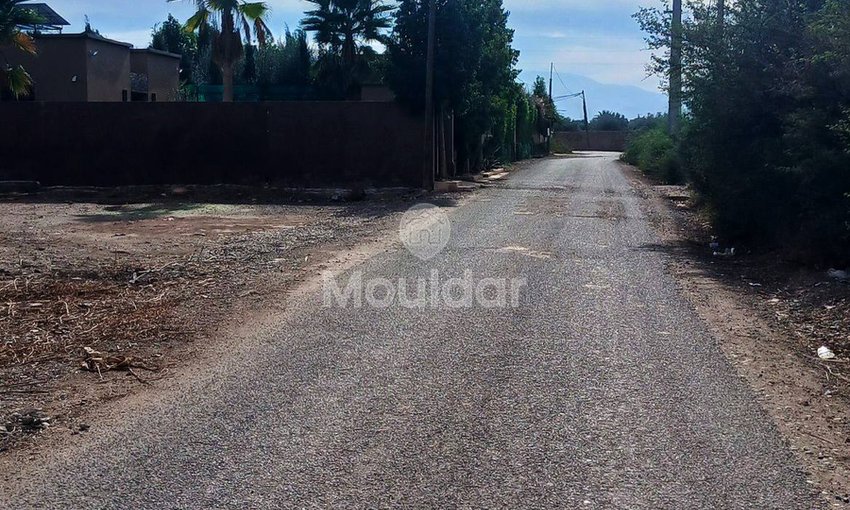 أرض للبيع في مراكش: مثالية لفيلتك الحلم - view 6