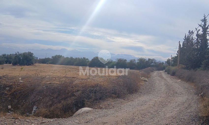 أرض للبيع في مراكش: مثالية لفيلتك الحلم - view 4