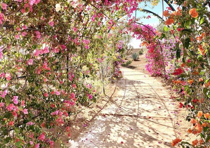 فيلا أحلام في مراكش: مسبح، حمام، وراحة - view 13