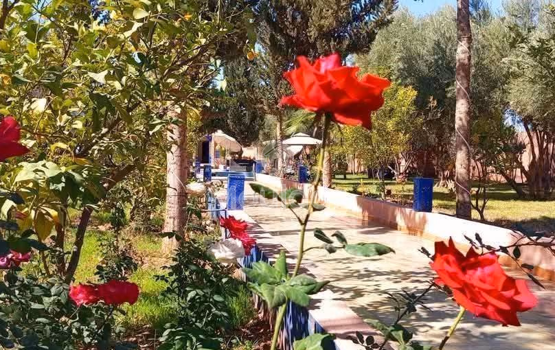 Villa de Luxe à Marrakech : 3 Chambres, Piscine et Jardin