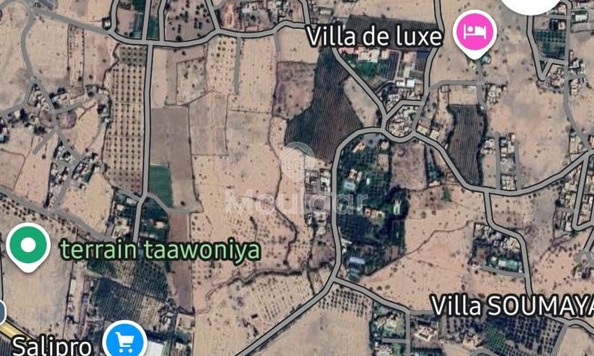 أرض للبيع في مراكش: مثالية لفيلتك الحلم - view 8