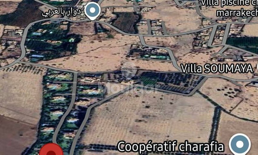 أرض للبيع في مراكش: مثالية لفيلتك الحلم - view 9
