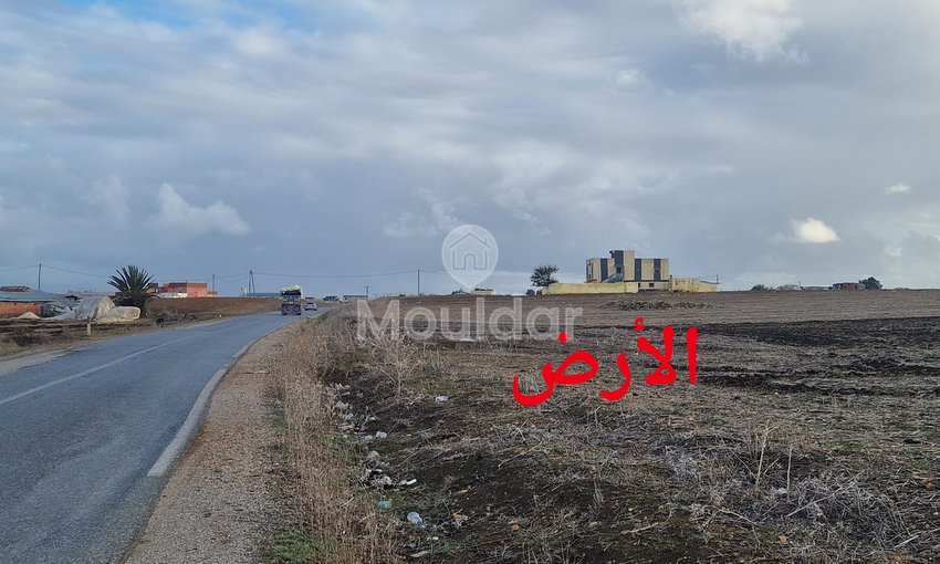 Sale of Agricultural Land in Larache: 47,500 m² to Seize - view 2