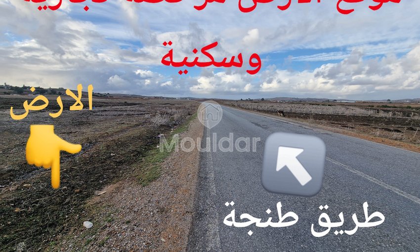 Sale of Agricultural Land in Larache: 47,500 m² to Seize - view 5