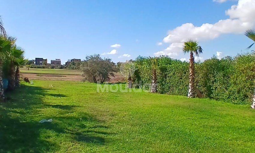 Exceptional villa for sale in Marrakech - Amezmiz Road - view 10