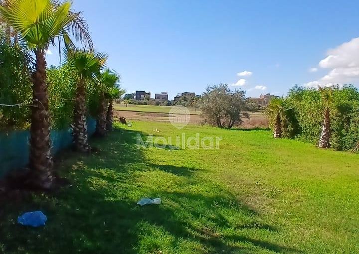 Exceptional villa for sale in Marrakech - Amezmiz Road - view 9