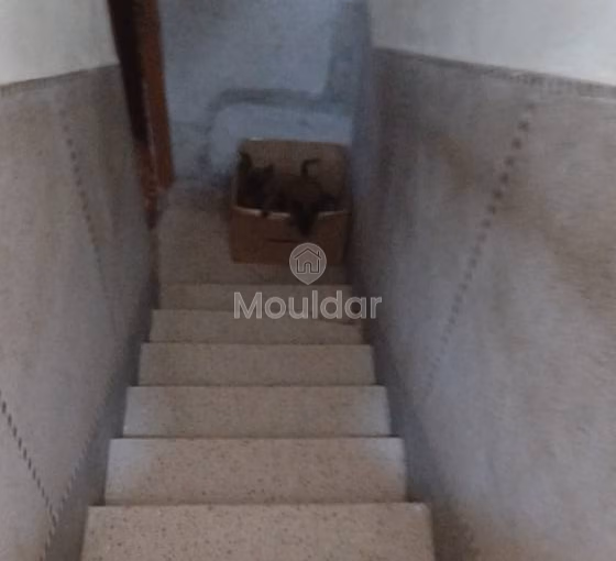 رياض للبيع في مراكش: أناقة في قلب الزيتون رياض للبيع في مراكش: أناقة في قلب الزيتون