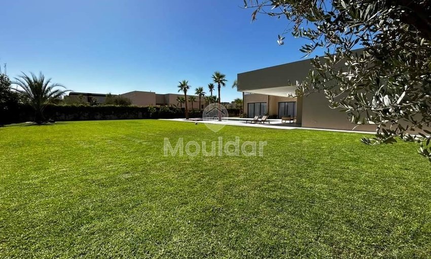 فيلا أحلام في مراكش: بركة سباحة، حديقة وراحة - view 17