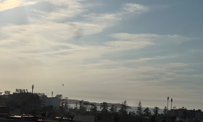 Seaside Apartment in Essaouira: Terrace and Parking Included - view 14